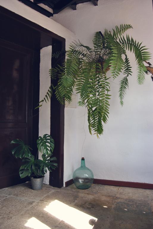 Casa Rural El Palmar Vallehermoso Bagian luar foto